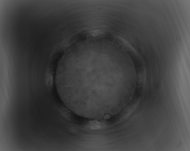 X0000100410703200806061342