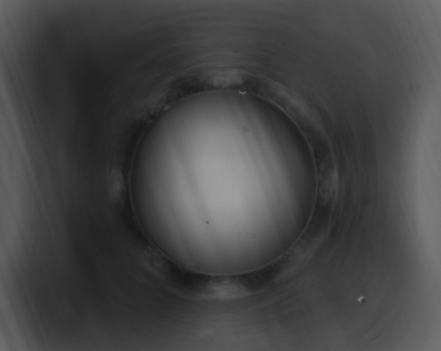 X0000100410704200806061342