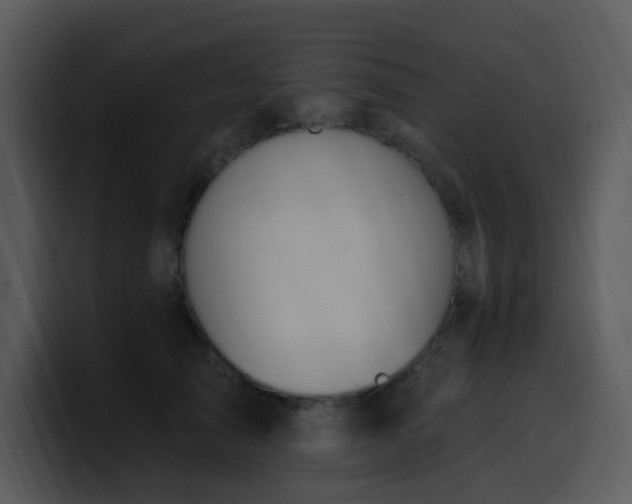 X0000100410705200806061342