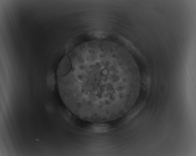 X0000100410707200806061342