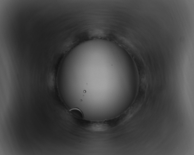 X0000100410708200806061342