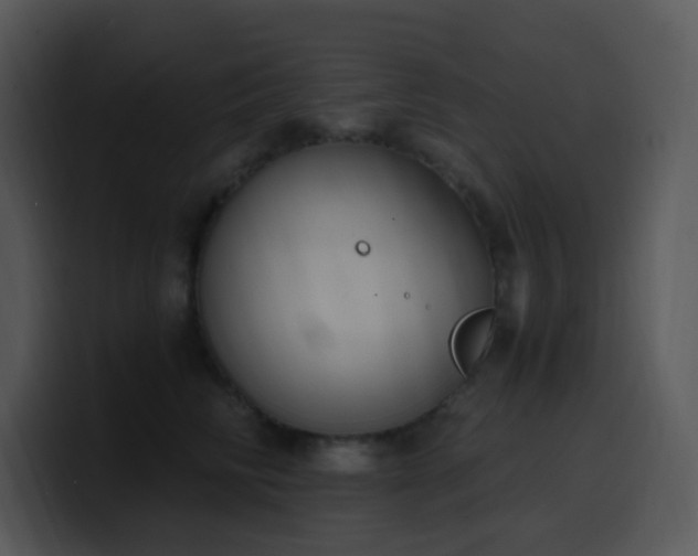 X0000100410710200806061342