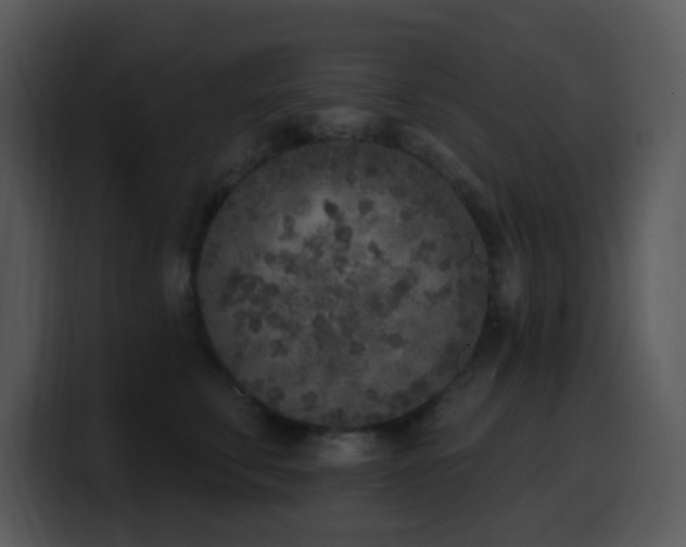 X0000100410711200806061342