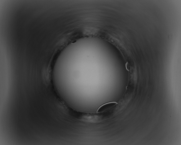 X0000100410712200806061342