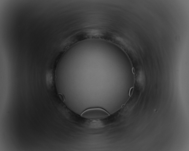 X0000100410715200806061342