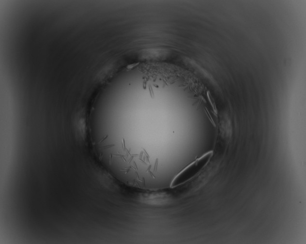 X0000100410716200806061342