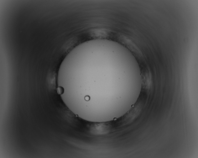 X0000100410717200806061341