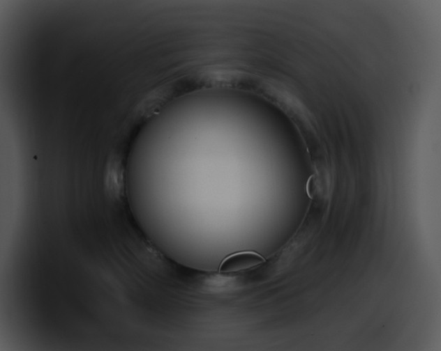 X0000100410718200806061341