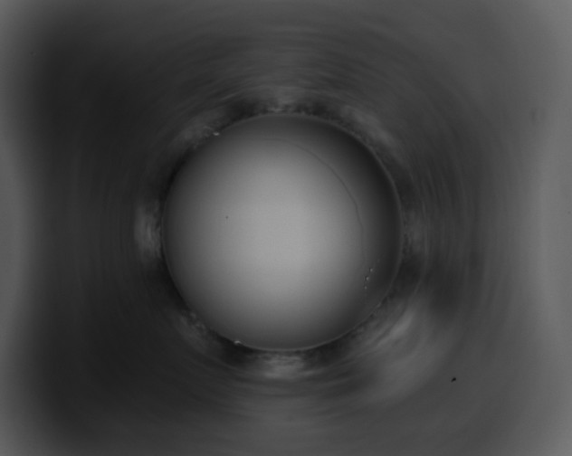 X0000100410719200806061341