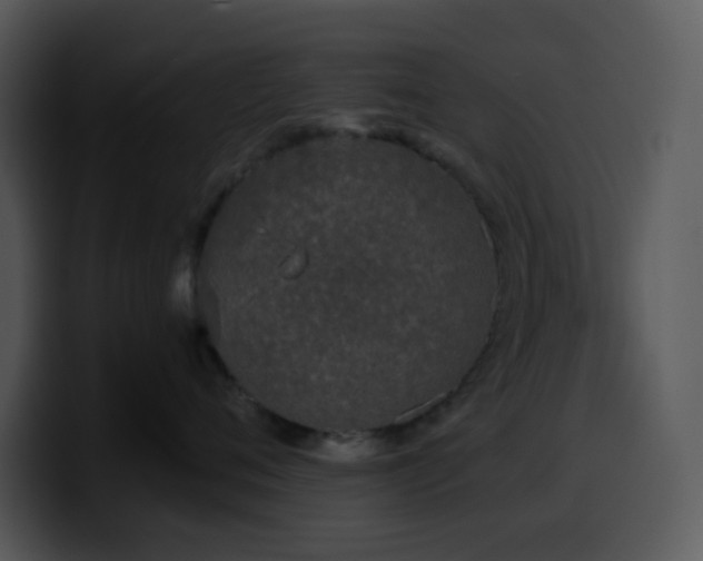 X0000100410720200806061341