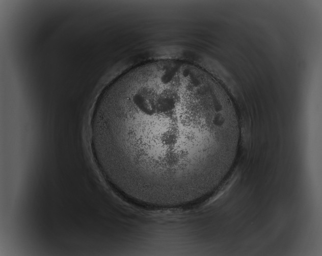 X0000100410721200806061341