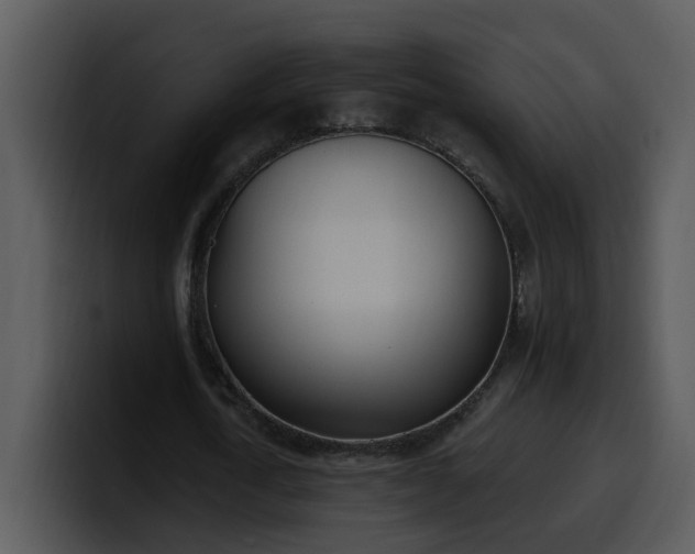 X0000100410722200806061341