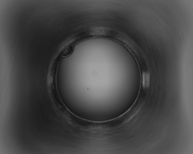 X0000100410723200806061341