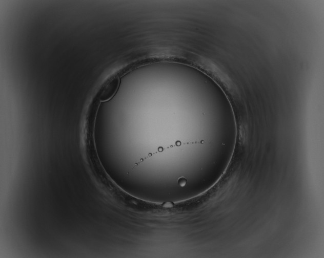 X0000100410724200806061341