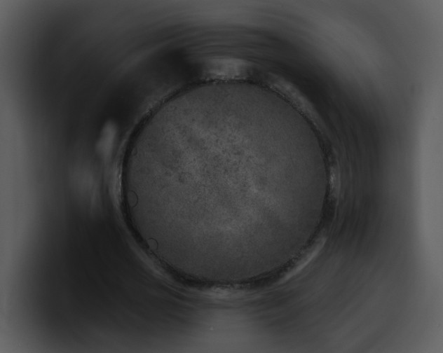 X0000100410725200806061341