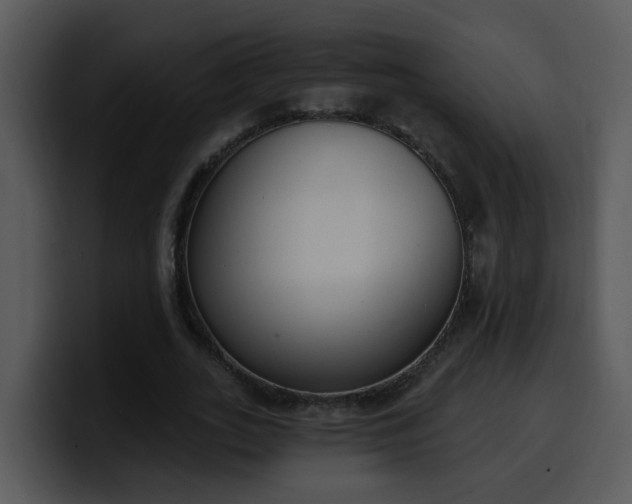 X0000100410727200806061341