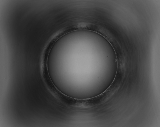 X0000100410728200806061341