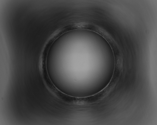 X0000100410730200806061341