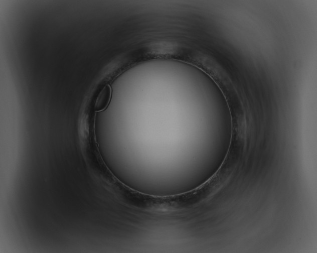 X0000100410731200806061341