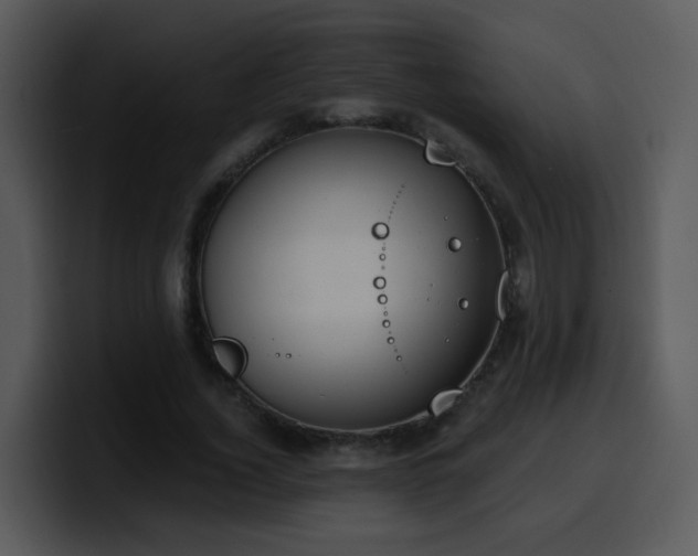 X0000100410732200806061341