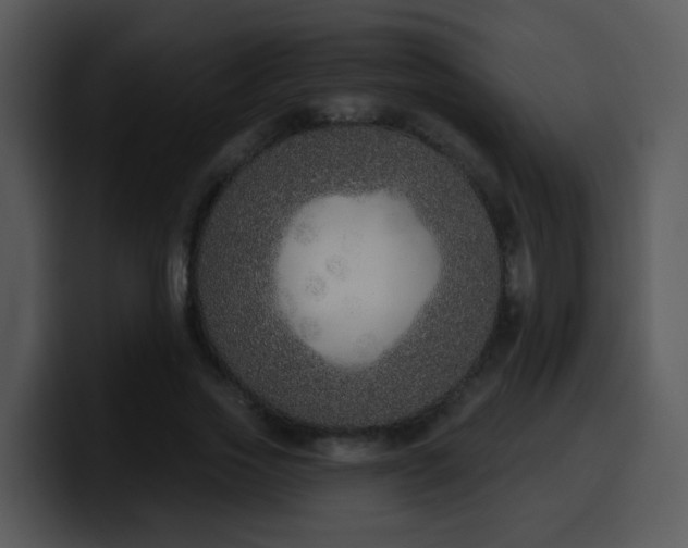 X0000100410733200806061341