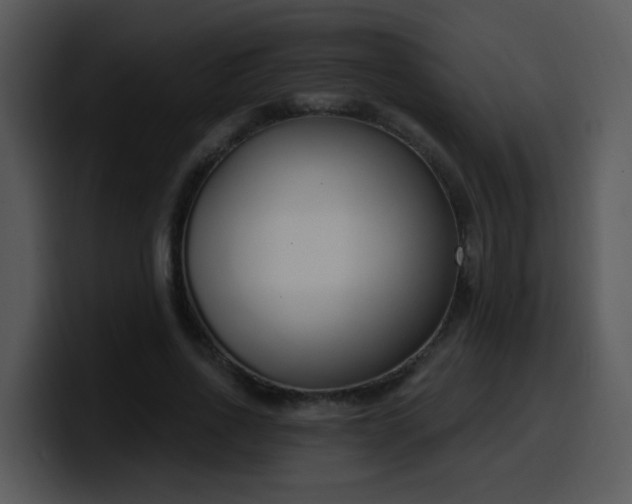 X0000100410734200806061341