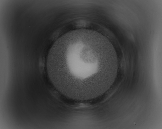 X0000100410737200806061341