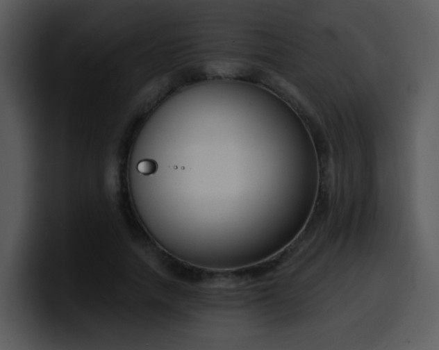 X0000100410738200806061341