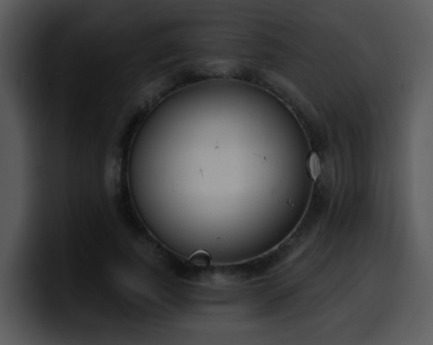 X0000100410739200806061341