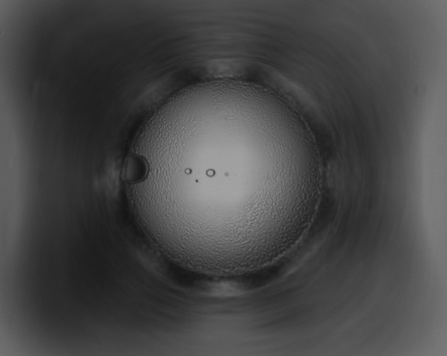 X0000100410741200806061341