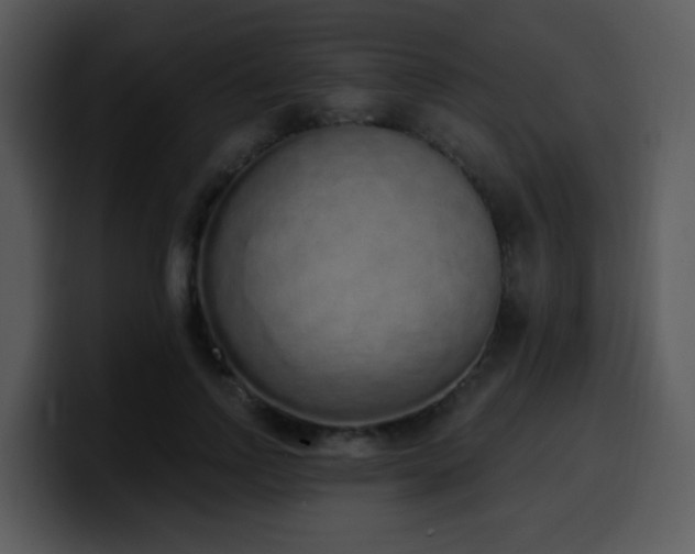 X0000100410742200806061341