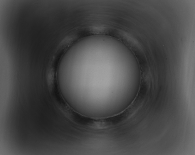 X0000100410744200806061341