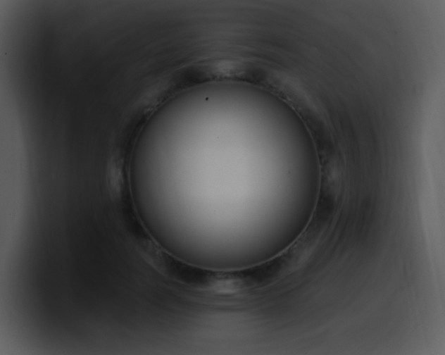 X0000100410746200806061341