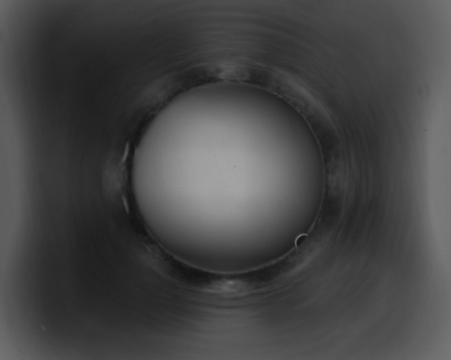 X0000100410748200806061341