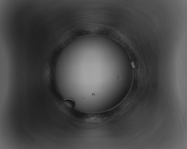 X0000100410750200806061341