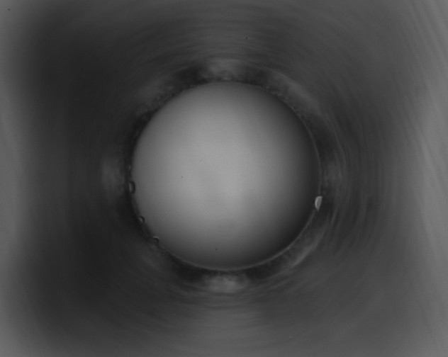 X0000100410751200806061341