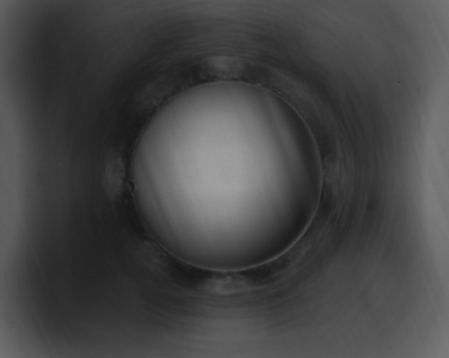 X0000100410752200806061341