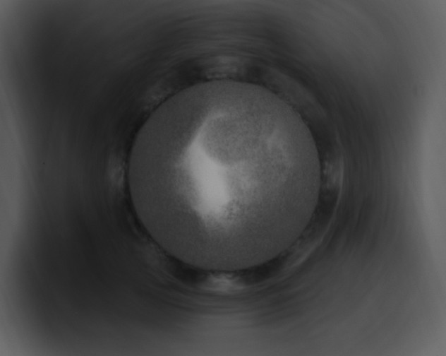 X0000100410753200806061341