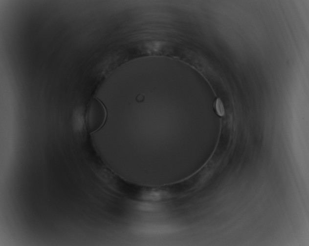 X0000100410754200806061341