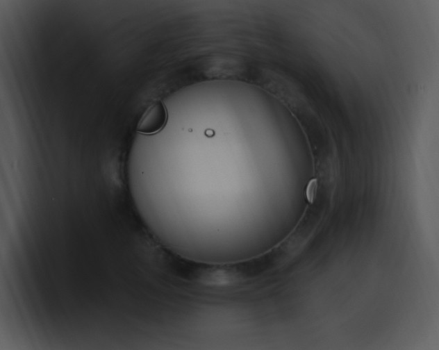 X0000100410755200806061341