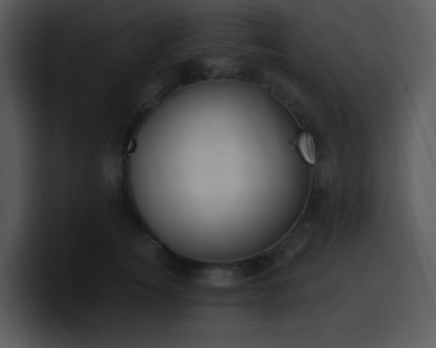 X0000100410756200806061341