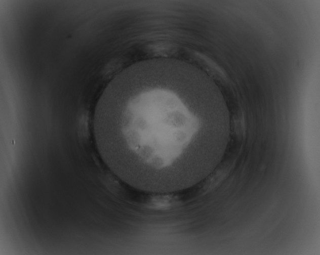 X0000100410757200806061341