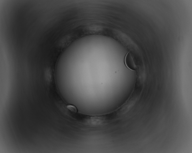 X0000100410758200806061341