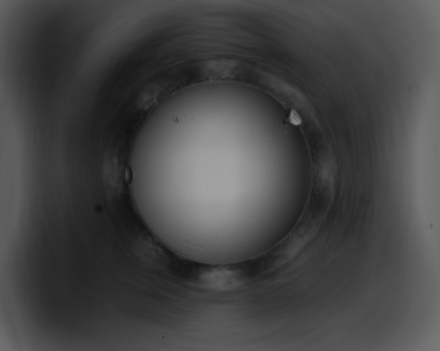 X0000100410759200806061341