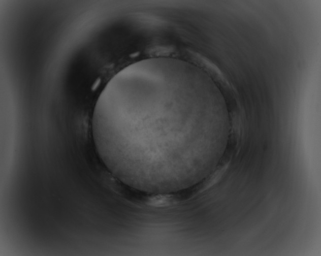 X0000100410761200806061341