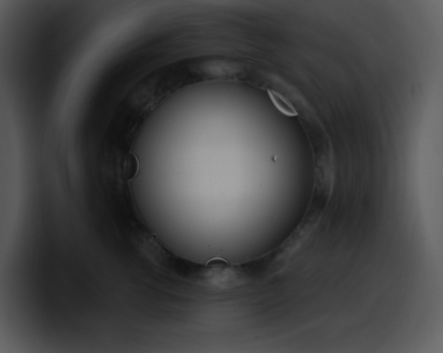 X0000100410762200806061341