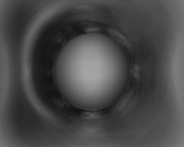 X0000100410763200806061341