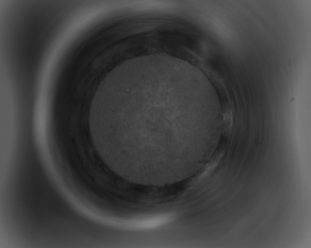 X0000100410765200806061341