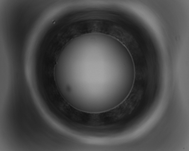 X0000100410766200806061341