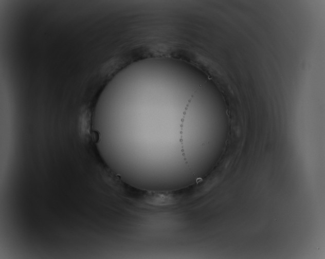 X0000100410768200806061341